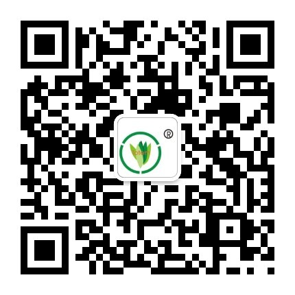 &#24320;&#20113;&#32593;&#39029;&#29256;&#45;&#24320;&#20113;&#40;&#20013;&#22269;&#41;